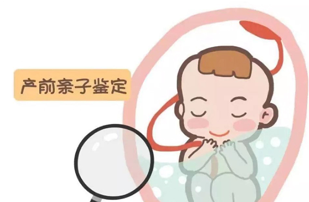 刚怀孕如何确定孩子父亲是谁[遂宁],遂宁无创怀孕亲子鉴定多少钱